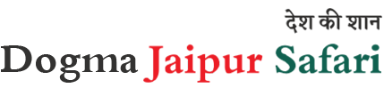 jaipur tour by bus